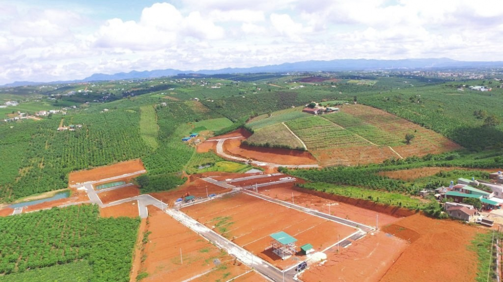 Xử lý nghiêm hành vi thao túng thị trường, thổi giá trong đấu giá quyền sử dụng đất. Ảnh minh hoạ 