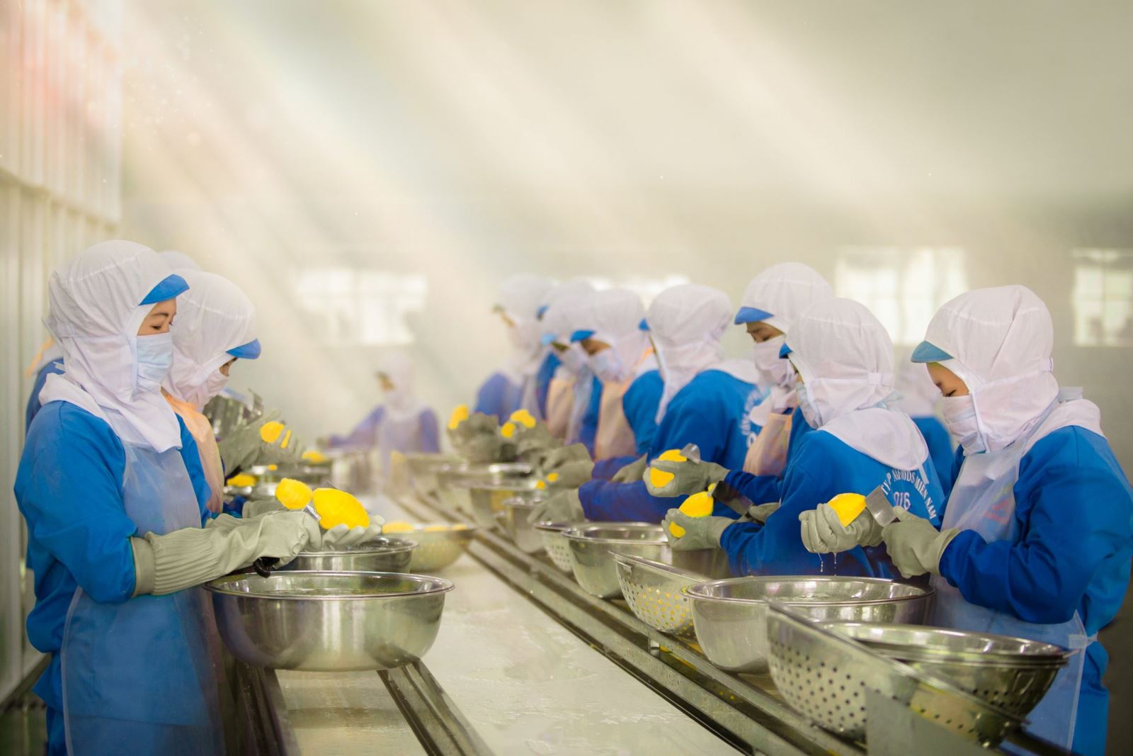 Công ty Cổ phần Nafoods Tây Nguyên sẽ mở rộng vùng nguyên liệu, nhà máy chế biến sâu để đưa Gia Lai trở thành thủ phủ cây trái công nghệ cao.