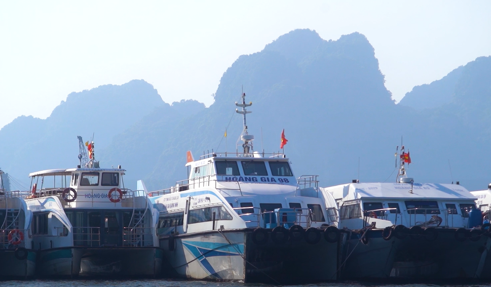 Đội tàu của công ty TNHH Đầu tư Thương mại và du lịch Hoàng Gia sẵn sàng đón khách du lịch
