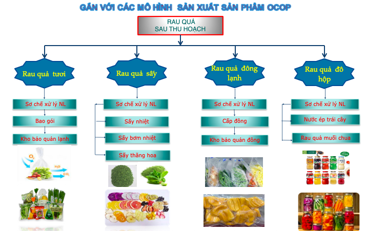 Đối tượng rau quả và nhu cầu công nghệ bảo quản, chế biến. Nguồn: Viện Cơ điện NN và Công nghệ STH