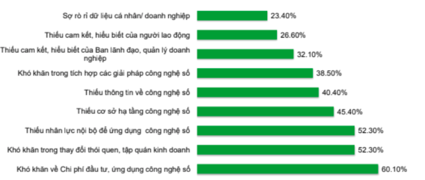 Nguồn: Báo cáo thường niên Chuyển đổi số DN 2021 (Bộ KH&ĐT)