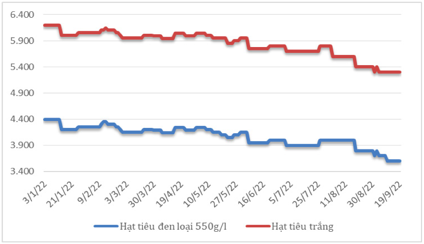 Diễn biến giá hạt tiêu đen và hạt tiêu trắng xuất khẩu của Việt Nam từ đầu năm 2022 đến nay (ĐVT: USD/tấn). Nguồn: Cục XNK