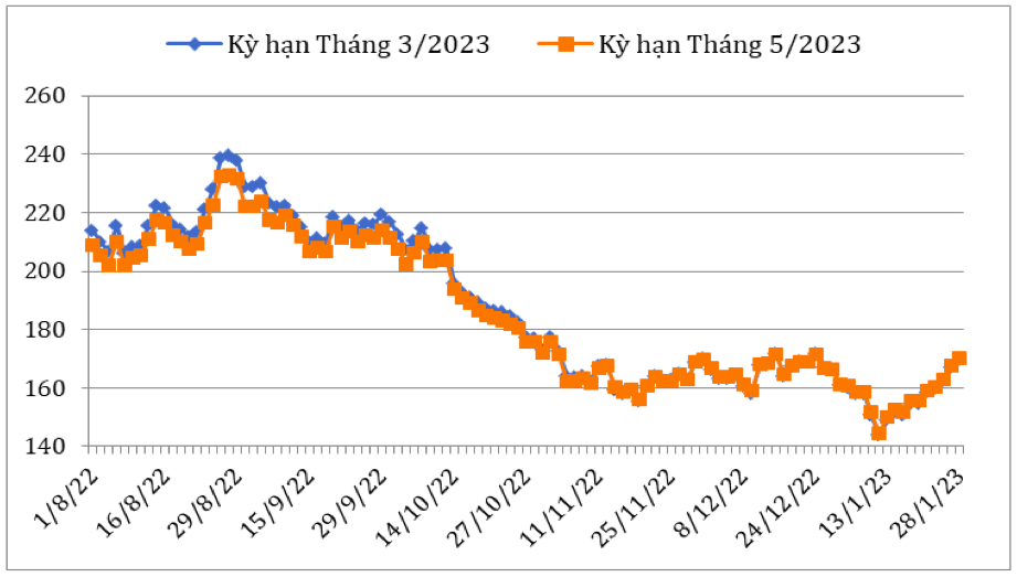 Diễn biến giá cà phê Arabica trên sàn giao dịch New York từ tháng 8/2022 đến nay (ĐVT: Uscent/lb). Nguồn: Cục XNK