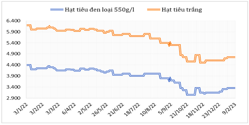 Diễn biến giá hạt tiêu đen và hạt tiêu trắng xuất khẩu của Việt Nam từ đầu năm 2022 đến nay (ĐVT: USD/tấn). Nguồn: Cục XNK