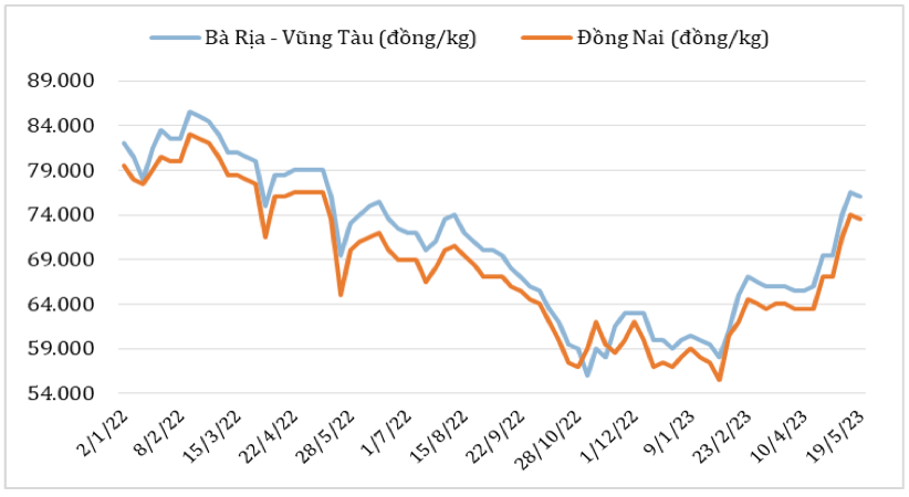 Diễn biến giá hạt tiêu đen tại thị trường nội địa từ đầu năm 2022 đến nay. Nguồn: Cục XNK 