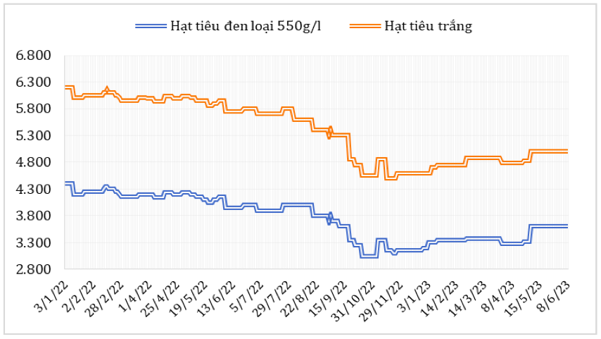 Diễn biến giá hạt tiêu đen và hạt tiêu trắng xuất khẩu của Việt Nam từ đầu năm 2022 đến nay (ĐVT: USD/tấn)Diễn biến giá hạt tiêu đen và hạt tiêu trắng xuất khẩu của Việt Nam từ đầu năm 2022 đến nay (ĐVT: USD/tấn). Nguồn: Cục XNK 