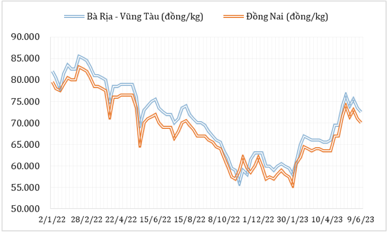 Diễn biến giá hạt tiêu đen tại thị trường nội địa từ đầu năm 2022 đến nay. Nguồn: Cục XNK 