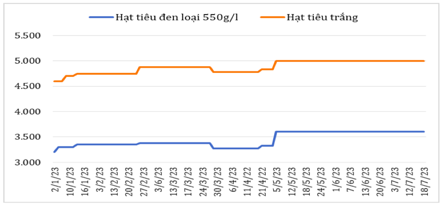 Diễn biến giá hạt tiêu đen và hạt tiêu trắng xuất khẩu của Việt Nam từ đầu năm 2023 đến nay (ĐVT: USD/tấn). Nguồn: Cục XNK 