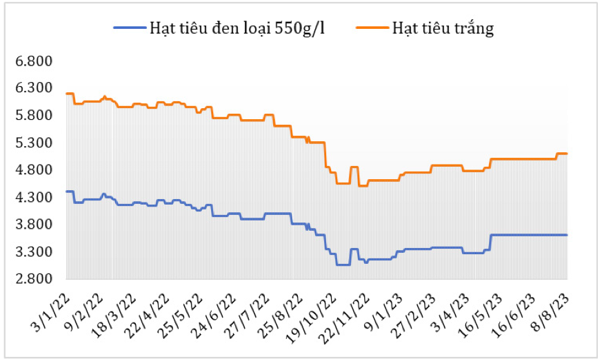 Diễn biến giá hạt tiêu xuất khẩu của Việt Nam từ đầu năm 2023 đến nay (ĐVT: USD/tấn). Nguồn: Cục XNK 