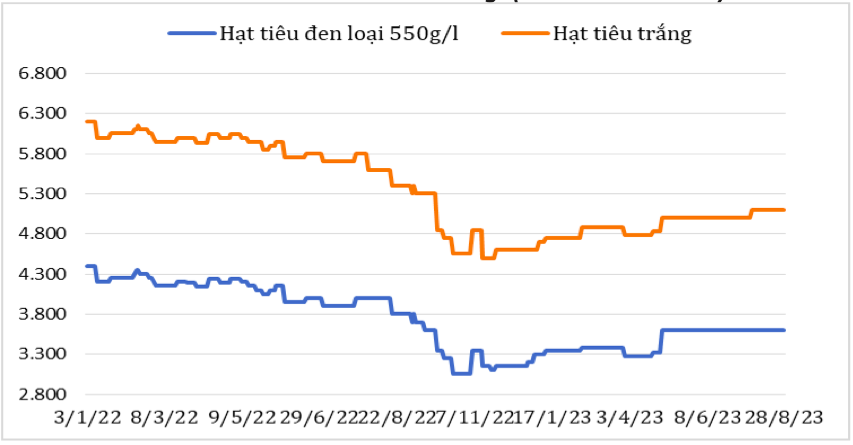 Diễn biến giá hạt tiêu đen và hạt tiêu trắng xuất khẩu của Việt Nam từ đầu năm 2023 đến nay (ĐVT: USD/tấn). Nguồn: Cục XNK 