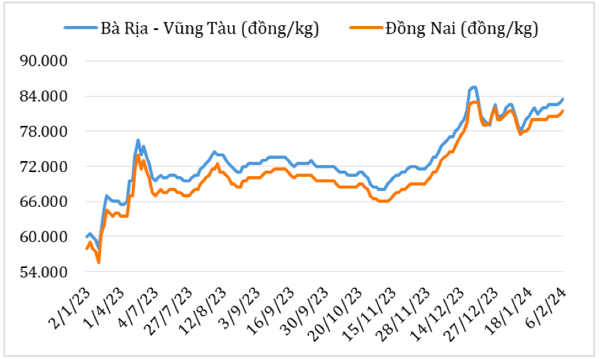 Diễn biến giá hạt tiêu đen tại thị trường nội địa năm 2023 – 2024. Nguồn: Cục XNK