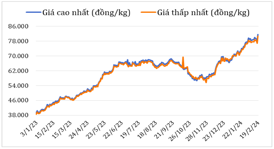 Diễn biến giá cà phê Robusta tại thị trường nội địa năm 2023 – 2024. Nguồn: Cục XNK 