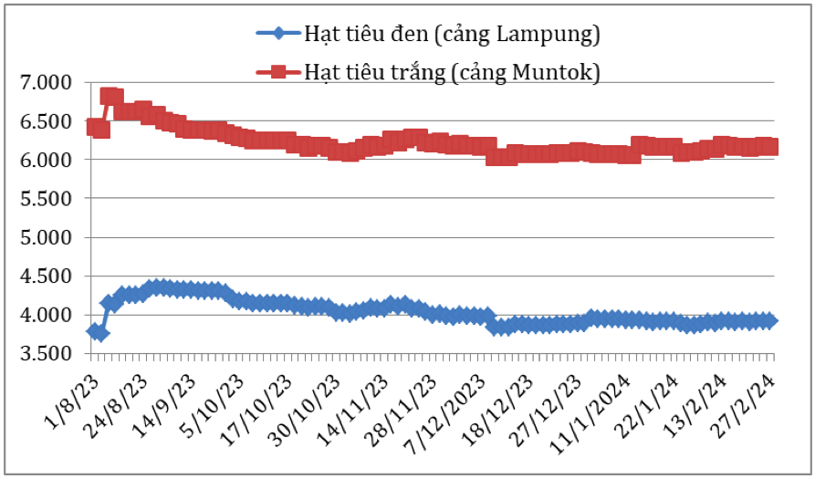 Diễn biến giá hạt tiêu đen và hạt tiêu trắng xuất khẩu của In-đô-nê-xi-a từ tháng 8/2023 đến nay (ĐVT: USD/tấn). Nguồn: Cục XNK 