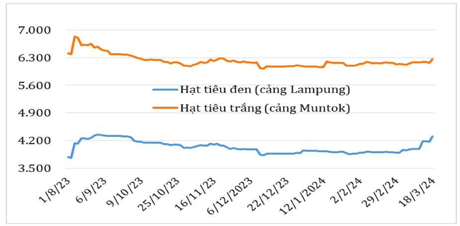 Diễn biến giá hạt tiêu đen và hạt tiêu trắng xuất khẩu của In-đô-nê-xi-a từ tháng 8/2023 đến nay (ĐVT: USD/tấn). Nguồn: Cục XNK 