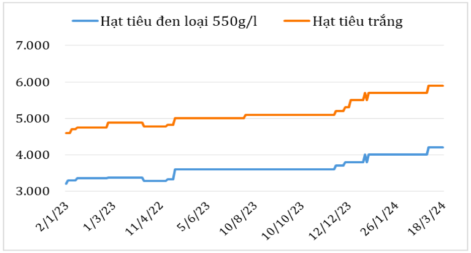 Diễn biến giá hạt tiêu đen và hạt tiêu trắng xuất khẩu của Việt Nam năm 2023 - 2024 (ĐVT: USD/tấn). Nguồn: Cục XNK