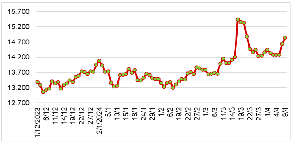 Diễn biến giá cao su tại sàn SHFE từ tháng 12/2023 đến nay (ĐVT: NDT/tấn). Nguồn: Cục XNK 