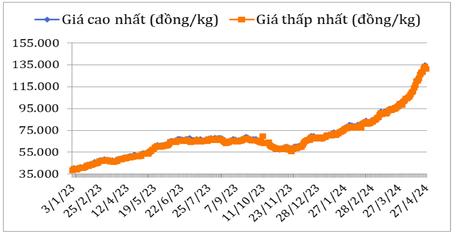 Diễn biến giá cà phê Robusta tại thị trường nội địa năm 2023 – 2024. Nguồn: Cục XNK 