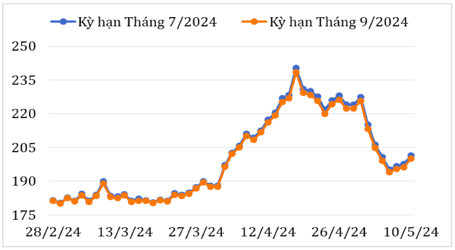 Diễn biến giá cà phê Arabica trên sàn giao dịch New York từ cuối tháng 2/2024 đến nay (ĐVT: Uscent/lb). Nguồn: Cục Xuất nhập khẩu 