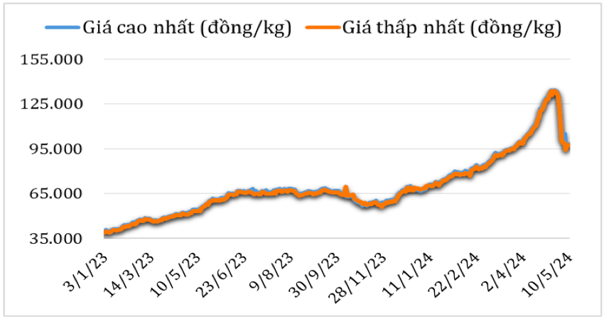 Diễn biến giá cà phê Robusta tại thị trường nội địa năm 2023 – 2024. Nguồn: Cục Xuất nhập khẩu 