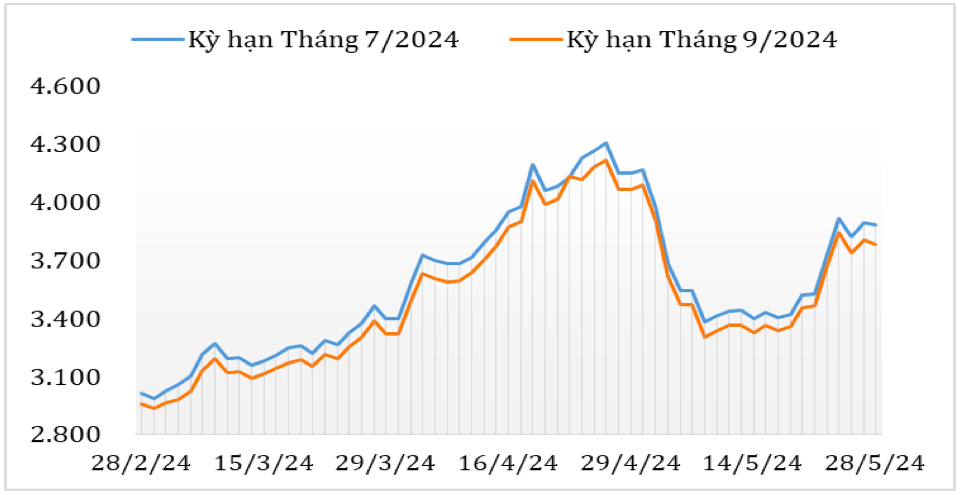 Diễn biến giá cà phê robusta giao kỳ hạn trên sàn giao dịch London từ cuối tháng 2/2024 đến nay (ĐVT: USD/tấn). Nguồn: Cục XNK 