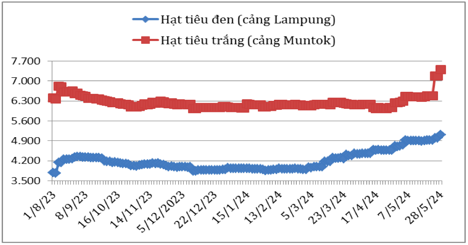 Diễn biến giá hạt tiêu đen và hạt tiêu trắng xuất khẩu của In-đô-nê-xi-a từ tháng 8/2023 đến nay (ĐVT: USD/tấn). Nguồn: Cục XNK 