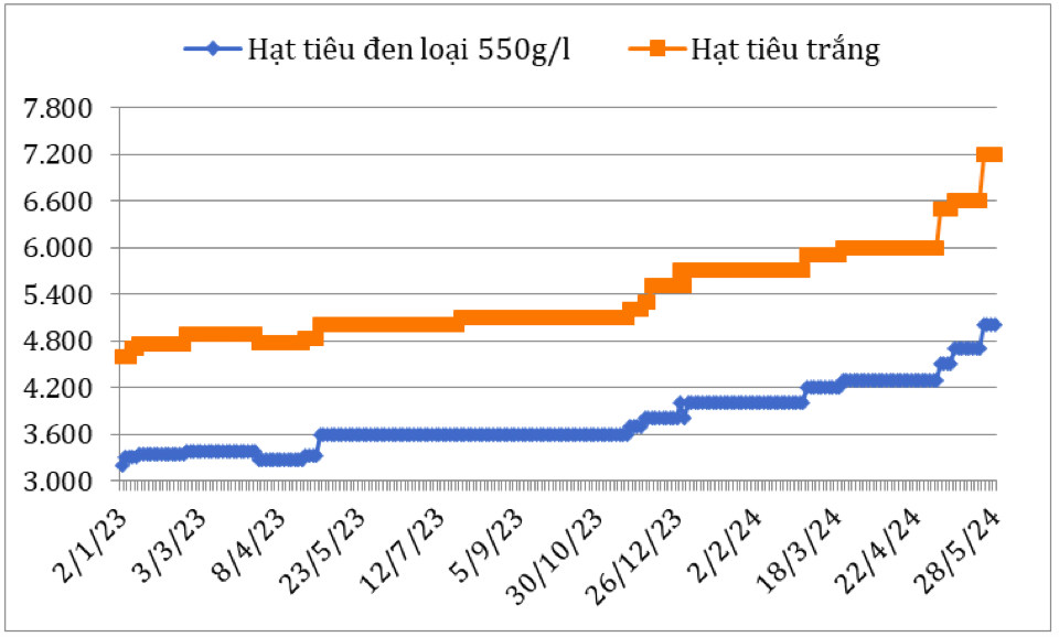 Diễn biến giá hạt tiêu đen và hạt tiêu trắng xuất khẩu của Việt Nam năm 2023 - 2024 (ĐVT: USD/tấn). Nguồn: Cục XNK 
