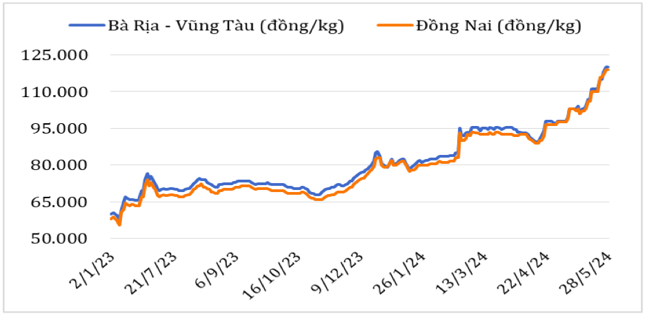 Diễn biến giá hạt tiêu đen tại thị trường nội địa năm 2023 – 2024. Nguồn: Cục XNK 