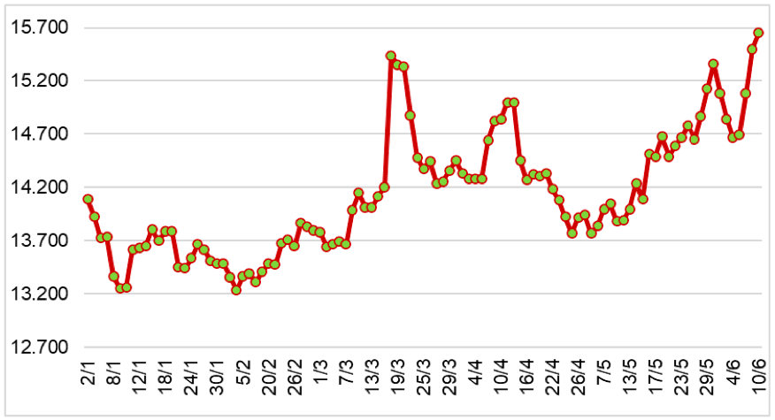 Diễn biến giá cao su tại sàn SHFE từ đầu năm 2024 đến nay (ĐVT: NDT/tấn). Nguồn: Cục XNK 