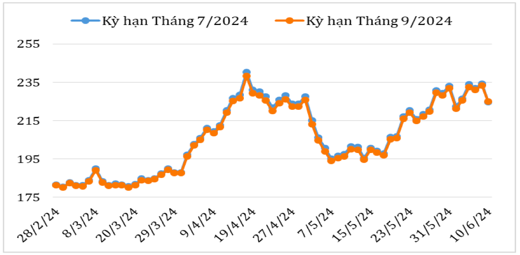 Diễn biến giá cà phê Arabica trên sàn giao dịch New York từ cuối tháng 2/2024 đến nay (ĐVT: Uscent/lb). Nguồn: Cục XNK 