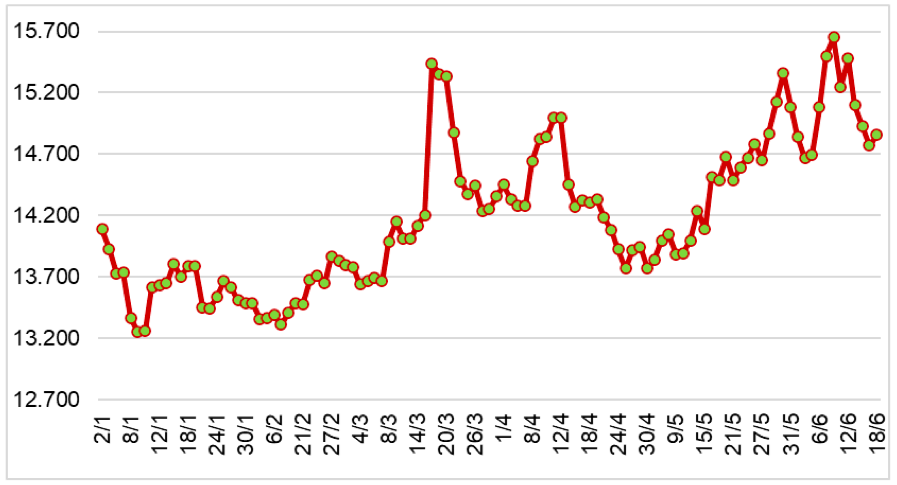 Diễn biến giá cao su RSS3 tại sàn SHFE từ đầu năm 2024 đến nay (ĐVT: NDT/tấn). Nguồn: Cục XNK 