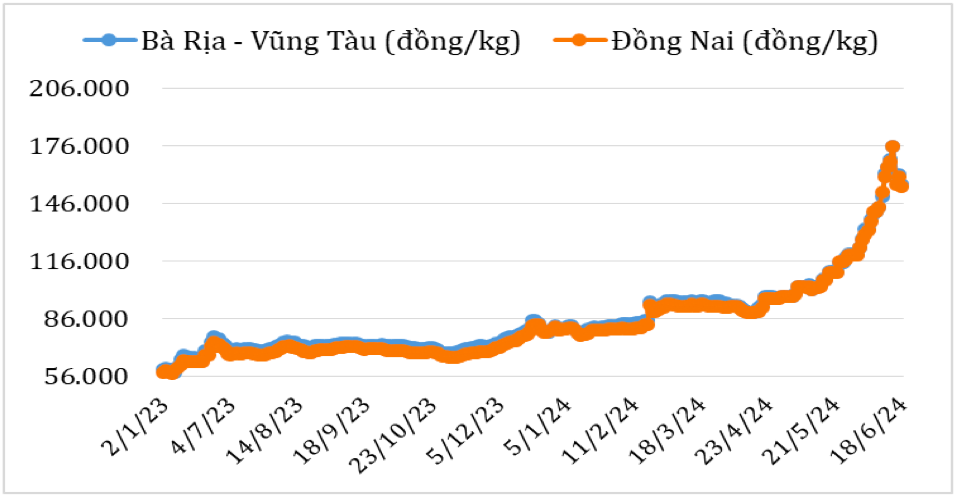 Diễn biến giá hạt tiêu đen tại thị trường nội địa năm 2023 – 2024. Nguồn: Cục XNK 