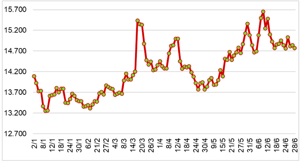 Diễn biến giá cao su tại sàn SHFE từ đầu năm 2024 đến nay (ĐVT: NDT/tấn). Nguồn: Cục XNK 