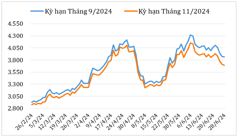 Diễn biến giá cà phê Robusta giao kỳ hạn trên sàn giao dịch London từ cuối tháng 2/2024 đến nay (ĐVT: USD/tấn). Nguồn: Cục XNK 