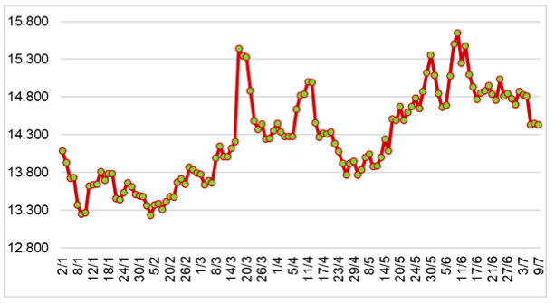 Diễn biến giá cao su tại sàn SHFE từ đầu năm 2024 đến nay (ĐVT: NDT/tấn). Nguồn: Cục XNK 