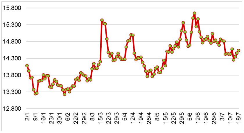 Diễn biến giá cao su RSS3 tại sàn SHFE từ đầu năm 2024 đến nay (ĐVT: NDT/tấn). Nguồn: Cục XNK 