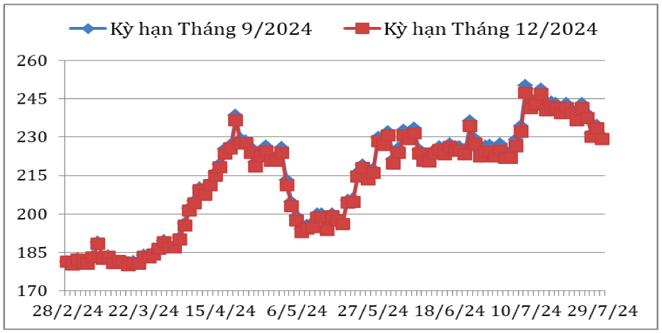Diễn biến giá cà phê Arabica trên sàn giao dịch New York từ tháng 2/2024 đến nay (ĐVT: Uscent/lb). Nguồn: Cục XNK 