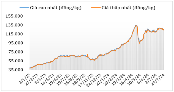 Diễn biến giá cà phê Robusta tại thị trường nội địa năm 2023 – 2024. Nguồn: Cục XNK 