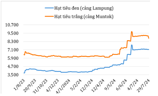 Diễn biến giá hạt tiêu xuất khẩu của In-đô-nê-xi-a từ tháng 8/2023 đến nay (ĐVT: USD/tấn). Nguồn: Cục XNK 