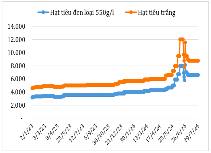 Diễn biến giá hạt tiêu đen và hạt tiêu trắng xuất khẩu của Việt Nam năm 2023 - 2024 (ĐVT: USD/tấn). Nguồn: Cục XNK 