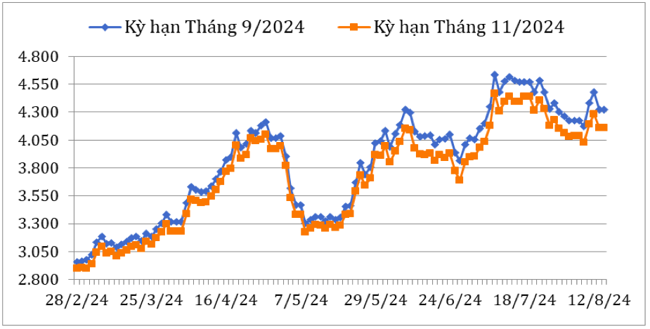 Diễn biến giá cà phê Robusta giao kỳ hạn trên sàn giao dịch London từ cuối tháng 2/2024 đến nay (ĐVT: USD/tấn). Nguồn: Cục XNK 