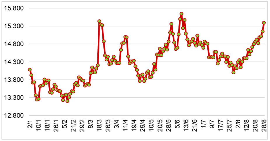 Diễn biến giá cao su tại sàn SHFE từ đầu năm 2024 đến nay (ĐVT: NDT/tấn). Nguồn: Cục XNK 