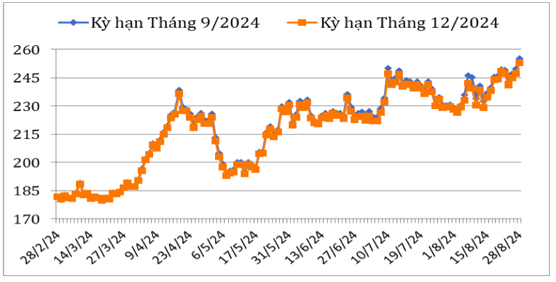 Diễn biến giá cà phê Arabica trên sàn giao dịch New York từ cuối tháng 2/2024 đến nay (ĐVT: Uscent/lb). Nguồn: Cục XNK 