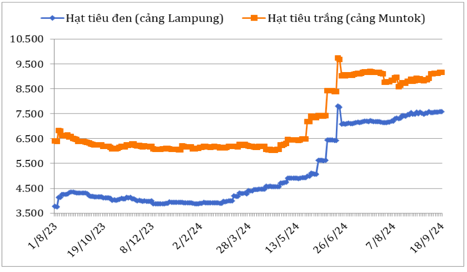 Diễn biến giá hạt tiêu đen và hạt tiêu trắng xuất khẩu của In-đô-nê-xi-a từ tháng 8/2023 đến nay (ĐVT: USD/tấn). Nguồn: Cục XNK 