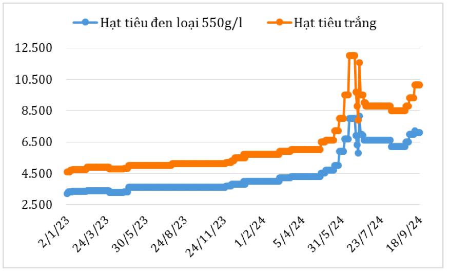 Diễn biến giá hạt tiêDiễn biến giá hạt tiêu đen và hạt tiêu trắng xuất khẩu của Việt Nam năm 2023 - 2024 (ĐVT: USD/tấn). Nguồn: Cục XNK 