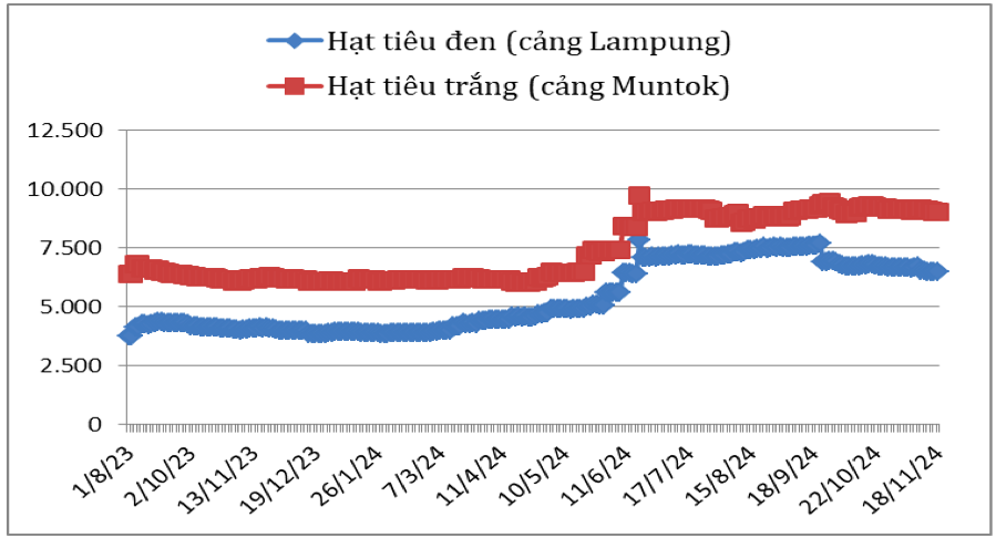 Diễn biến giá hạt tiêu đen và hạt tiêu trắng xuất khẩu của In-đô-nê-xi-a từ tháng 8/2023 đến nay (ĐVT: USD/tấn). Nguồn: Cục XNK 