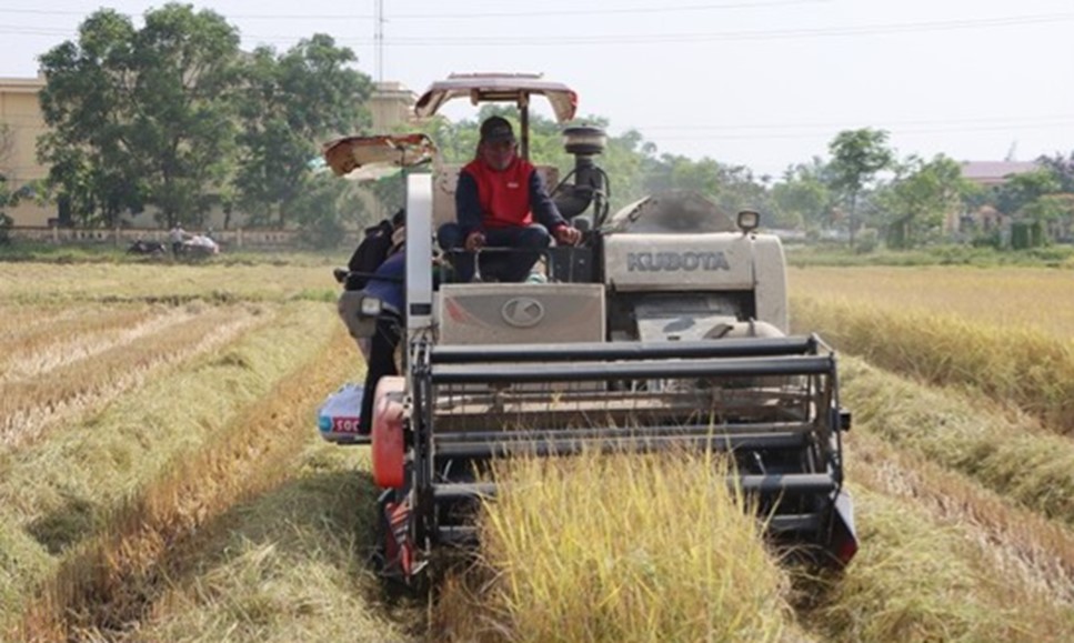 Mô hình sản xuất giống lúa chất lượng cao ST25 ứng dụng phương thức mạ khay, máy cấy Kubuta theo công nghệ Nhật Bản