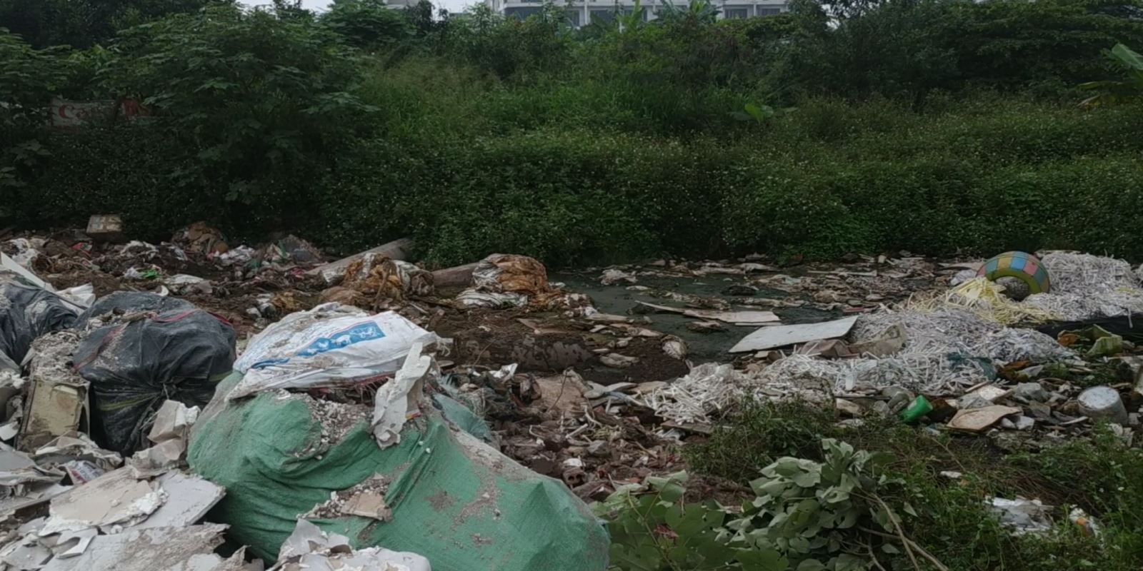 Ao hồ bị lấp đang bị ô nhiễm nghiêm trọng