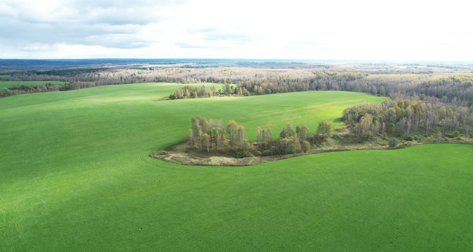 TH hiện trồng trọt trên diện tích khoảng 8.000 ha tại Kaluga với các loại cây như lúa mì, lúa mạch, cỏ để làm thức ăn cho bò sữa.