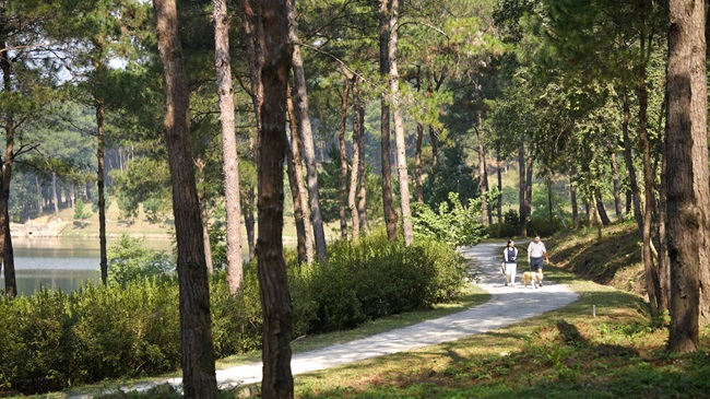 “Sống khỏe” giờ đây là một lối sống toàn diện, gắn liền với môi trường sống lành mạnh, thói quen tốt và sự hỗ trợ y tế sát sao. Ảnh chụp tại Thanh Xuan Valley.