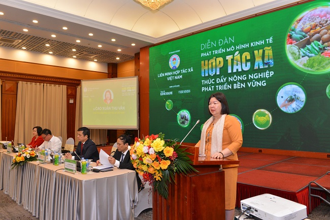 Chủ tịch Liên minh HTX Việt Nam Cao Xuân Thu Vân 